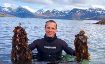 Vincent Doumeizel: “Las algas son una solución basada en la naturaleza. Son una revolución”