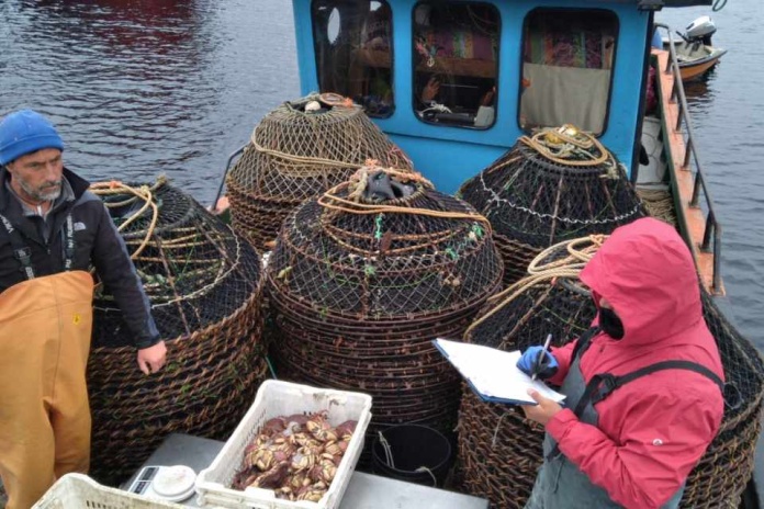La cadena virtuosa de la pesca artesanal sustentable