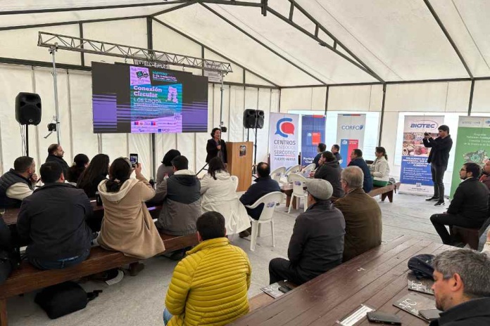 Seminario Conexión Circular Los Lagos logra convocar a organizaciones de servicio público y empresas privadas en torno a la innovación, sostenibilidad y medioambiente