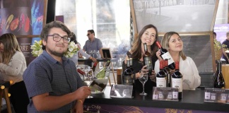 Chile Wine Fest