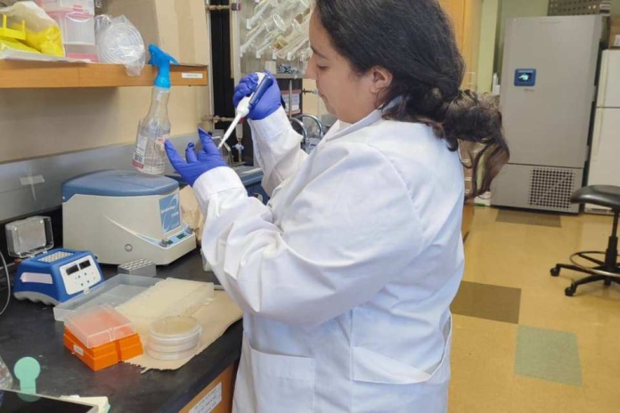 3 de diciembre Día Internacional del Médico (1) Investigan la producción a gran escala de polisacáridos bacterianos para aplicaciones biotecnológicas