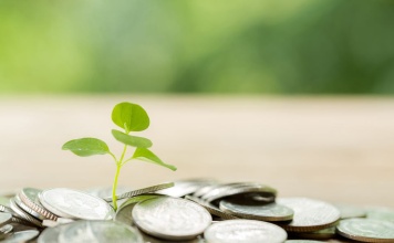Avanzando hacia un futuro sostenible: Bci potencia su oferta de productos financieros “verdes”