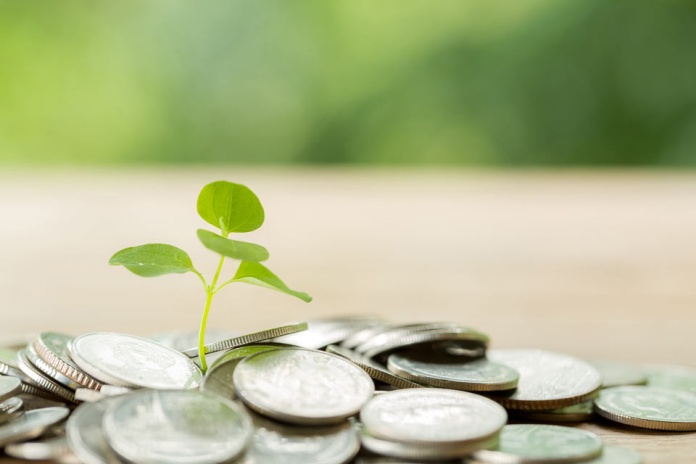 Avanzando hacia un futuro sostenible: Bci potencia su oferta de productos financieros “verdes”