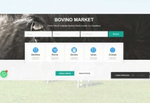 BOVINO MARKET, la nueva plataforma digital de comercialización de ganado impulsada por COWO Incubadora Corfo