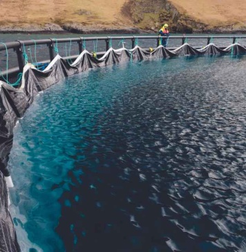 Barrera física de bloqueo contra las larvas de Caligus 