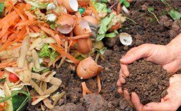 Capacitación online enseña a reciclar los residuos orgánicos  