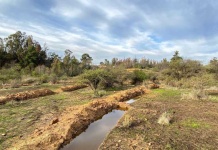 Greenpeace: “El mayor drama hídrico del país no es la sequía, es la inacción política”