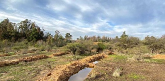 Greenpeace: “El mayor drama hídrico del país no es la sequía, es la inacción política”