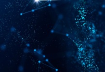Datasur Impulsa la Exploración del Comercio Mundial con Dos Innovadores Productos Gratuito este 2024