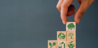 Día Mundial por la Reducción de CO2