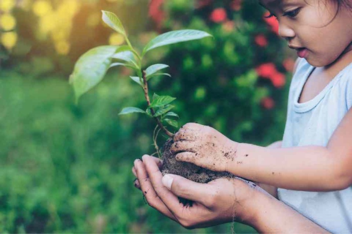 EY lanza el primer hub de naturaleza de Latinoamérica