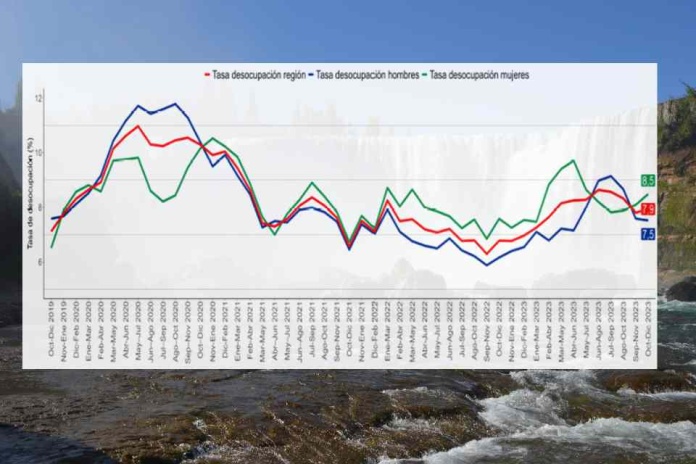 Tasa de desocupación de la Región del Biobío fue 7,9% en el trimestre octubre-diciembre de 2023