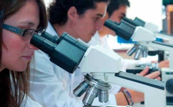 Becas de doctorado ANID, 210 profesionales altamente calificados se formarán en universidades de la Macrozona Centro Sur 