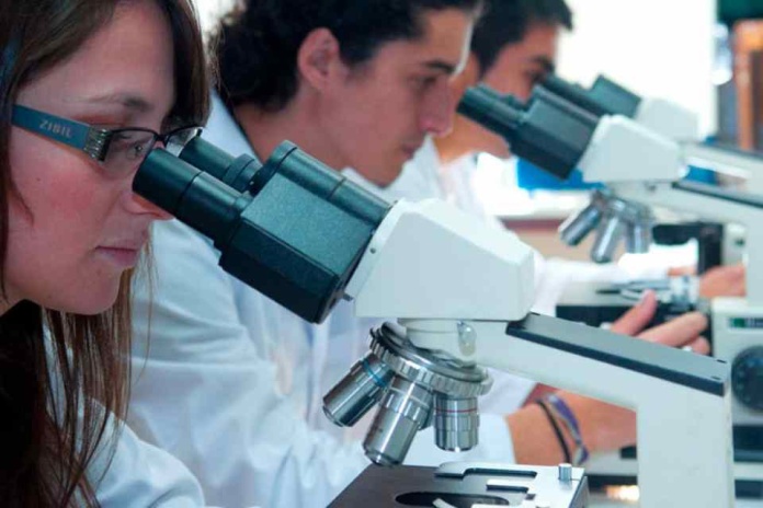 Becas de doctorado ANID, 210 profesionales altamente calificados se formarán en universidades de la Macrozona Centro Sur 