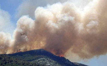 Incendios forestales seguirán aumentando con mayor fuerza en los próximos años en Chile y el mundo 