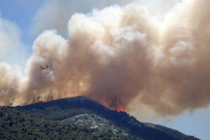 Incendios forestales seguirán aumentando con mayor fuerza en los próximos años en Chile y el mundo 