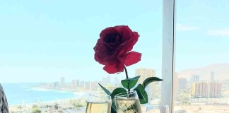 NH Iquique Pacífico invita a celebrar San Valentín con una cena romántica y una noche inolvidable de hotel