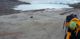 Nodo Laboratorios Naturales Subantárticos comienza una nueva etapa impulsando la investiga