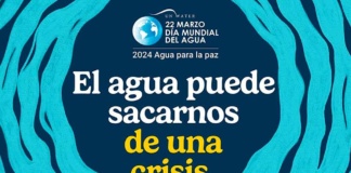 Actividades en distintas regiones del país buscan generar conciencia sobre la crisis hídrica que enfrenta Chile