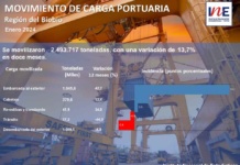 Carga movilizada y manipulada por los puertos de la Región del Biobío aumentó 13,7% en enero de 2024
