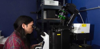 Científico chileno se forma en microscopía de frontera apoyado por el creador de Facebook