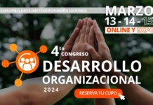 Avanzando hacia una Transformación Organizacional Sostenible 