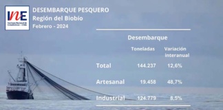 Desembarque pesquero en la Región del Biobío aumentó 12,6% en doce meses