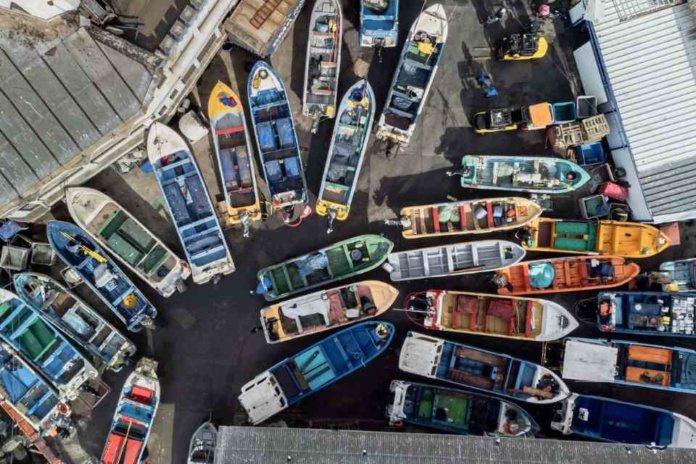 Desembarque pesquero en la Región del Biobío aumentó 42,6% en enero de 2024