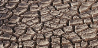 En el Día Mundial del Agua: Tecnología puede ayudar a mitigar efectos de la sequía en el Agro