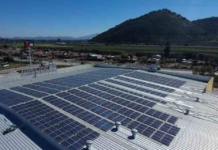 Falabella avanza seis posiciones en destacada medición internacional CDP por  sus compromisos y avances en descarbonización