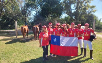 Destacada participación de la delegación chilena de Horseball en el reciente Open de Horseball Argentina 2024 