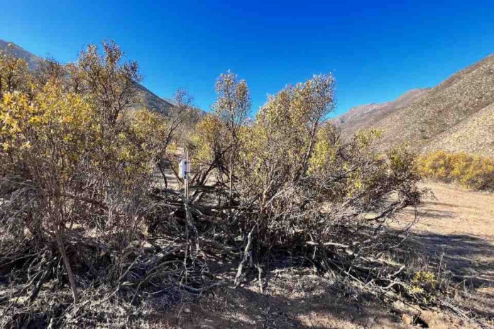 Estudio pionero de Data Observatory evaluó la humedad de los suelos de cuatro cuencas del país