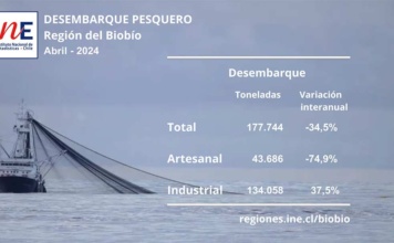 Desembarque pesquero en la Región del Biobío disminuyó 34,5% en abril