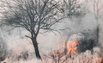 Seguros contra incendios: 100% de los clientes logra disminuir su prima con la asesoría adecuada