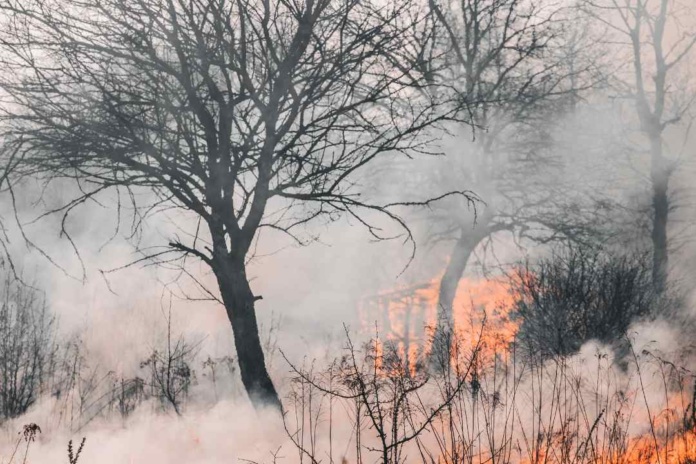 Seguros contra incendios 100% de los clientes logra disminuir su prima con la asesoría adecuada Seguros contra incendios: 100% de los clientes logra disminuir su prima con la asesoría adecuada