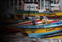 Transformando la pesca artesanal desde las comunidades locales