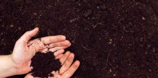 Biodigestor en Open Kennedy generó más de 50 toneladas de compost en un año