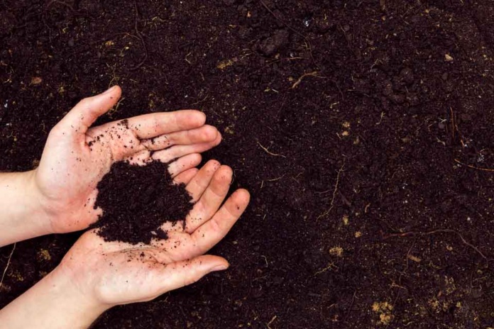 Biodigestor en Open Kennedy generó más de 50 toneladas de compost en un año