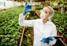 Chile toma la delantera en el impulso de la innovación biotecnológica en América Latina Chile innovación biotecnológica