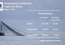 Desembarque pesquero en la Región del Biobío disminuyó 18,3% en mayo