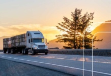 En el Día Mundial del Medio Ambiente cadena de frío sostenible Un imperativo para un futuro verde