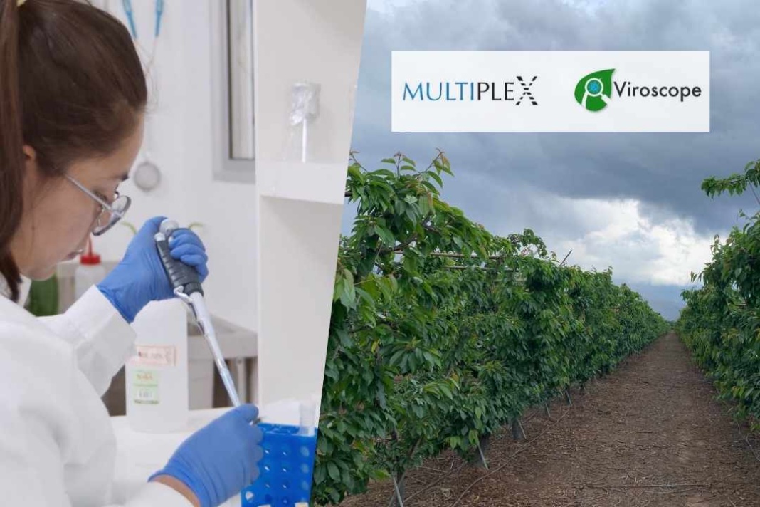 Multiplex Bio y Viroscope: Revolucionando la Competitividad y Rentabilidad en la Cadena Productiva Agrícola