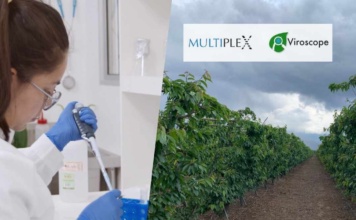 Multiplex Bio y Viroscope: Revolucionando la Competitividad y Rentabilidad en la Cadena Productiva Agrícola