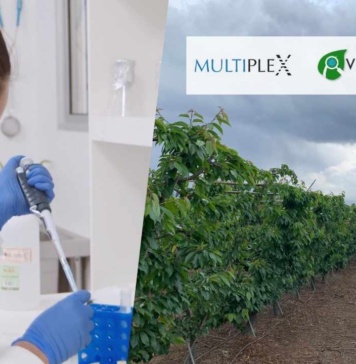 Multiplex Bio y Viroscope: Revolucionando la Competitividad y Rentabilidad en la Cadena Productiva Agrícola
