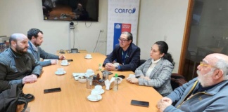 Reunión de Impulso al Cooperativismo en la Región de Los Lagos: director ejecutivo del Instituto Nacional de Asociatividad y Cooperativismo y Servicios Públicos Fomentan la Asociatividad