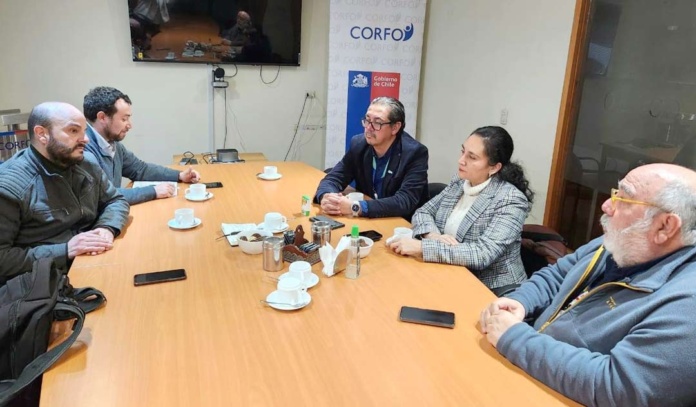 Reunión de Impulso al Cooperativismo en la Región de Los Lagos: director ejecutivo del Instituto Nacional de Asociatividad y Cooperativismo y Servicios Públicos Fomentan la Asociatividad