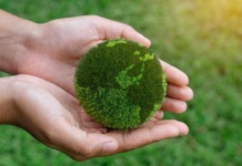 4 tendencias para la sostenibilidad ambiental 