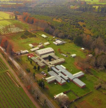 CIC Los Ríos inicia campaña para atraer proyectos innovadores del área silvoagroalimentaria a Máfil