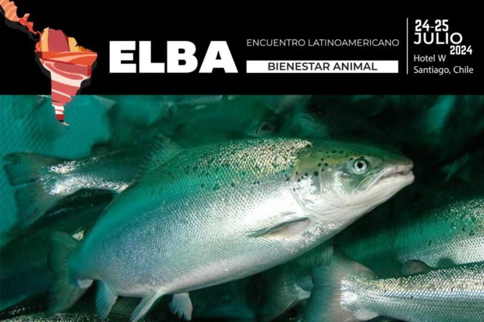 Charla abordará los desafíos y oportunidades para el bienestar animal en la acuicultura