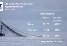 Desembarque pesquero en la Región del Biobío disminuyó 68,8% en junio